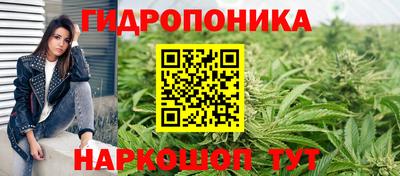 ГАЛЛЮЦИНОГЕННЫЕ ГРИБЫ Кунгур