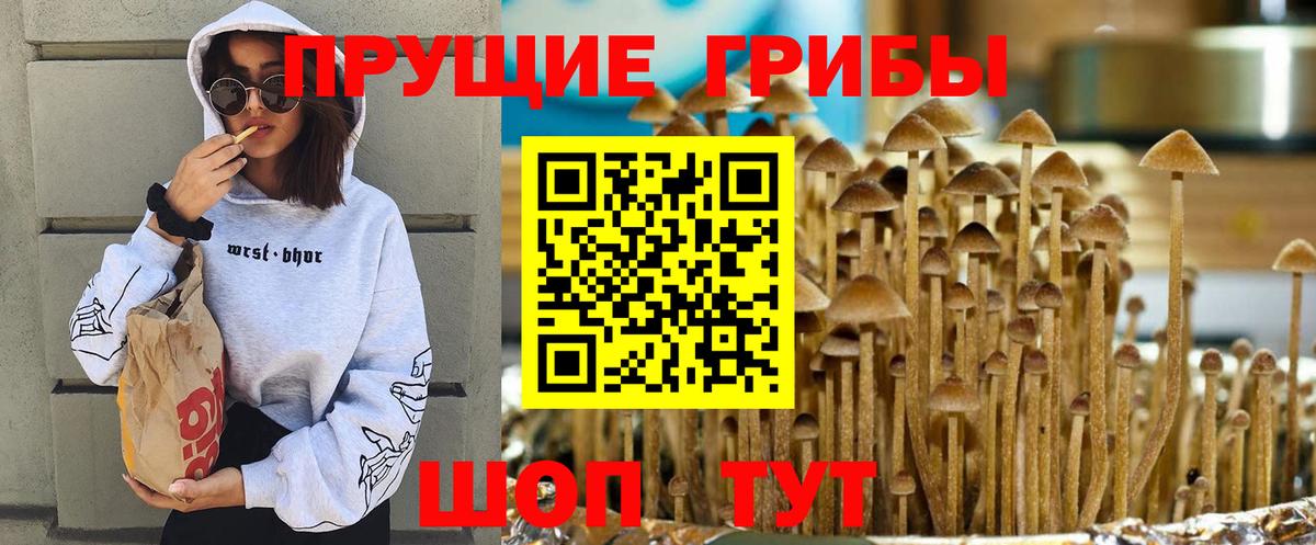 Псилоцибиновые грибы мицелий Златоуст