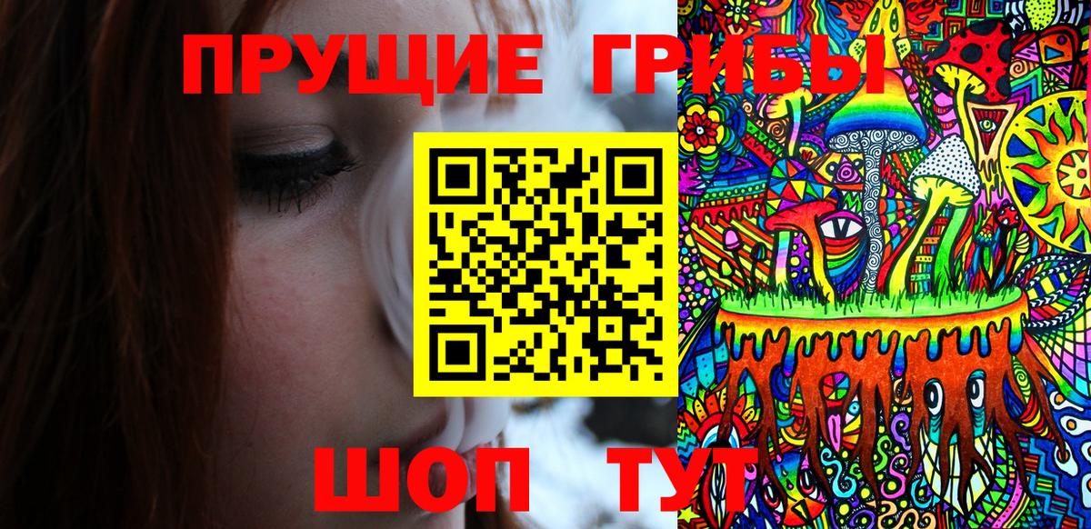 Златоуст  где купить   Вход с VPN  Галлюциногенные грибы мицелий 